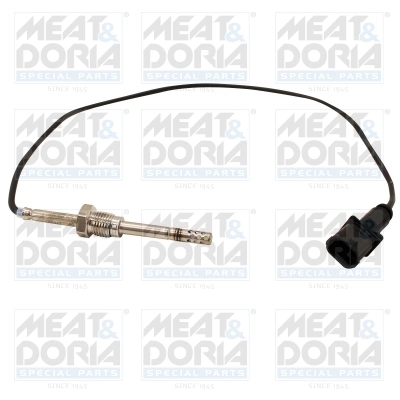 Sensor, exhaust gas temperature
